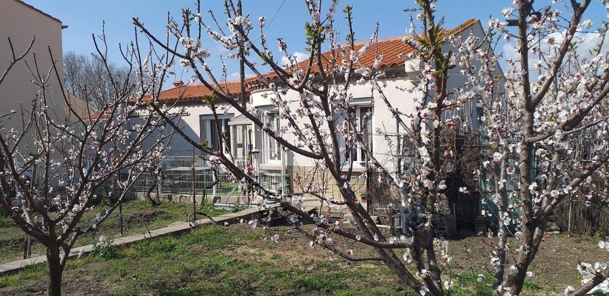 La Maison Du Bonheur سان لوران دي لا سالانك المظهر الخارجي الصورة